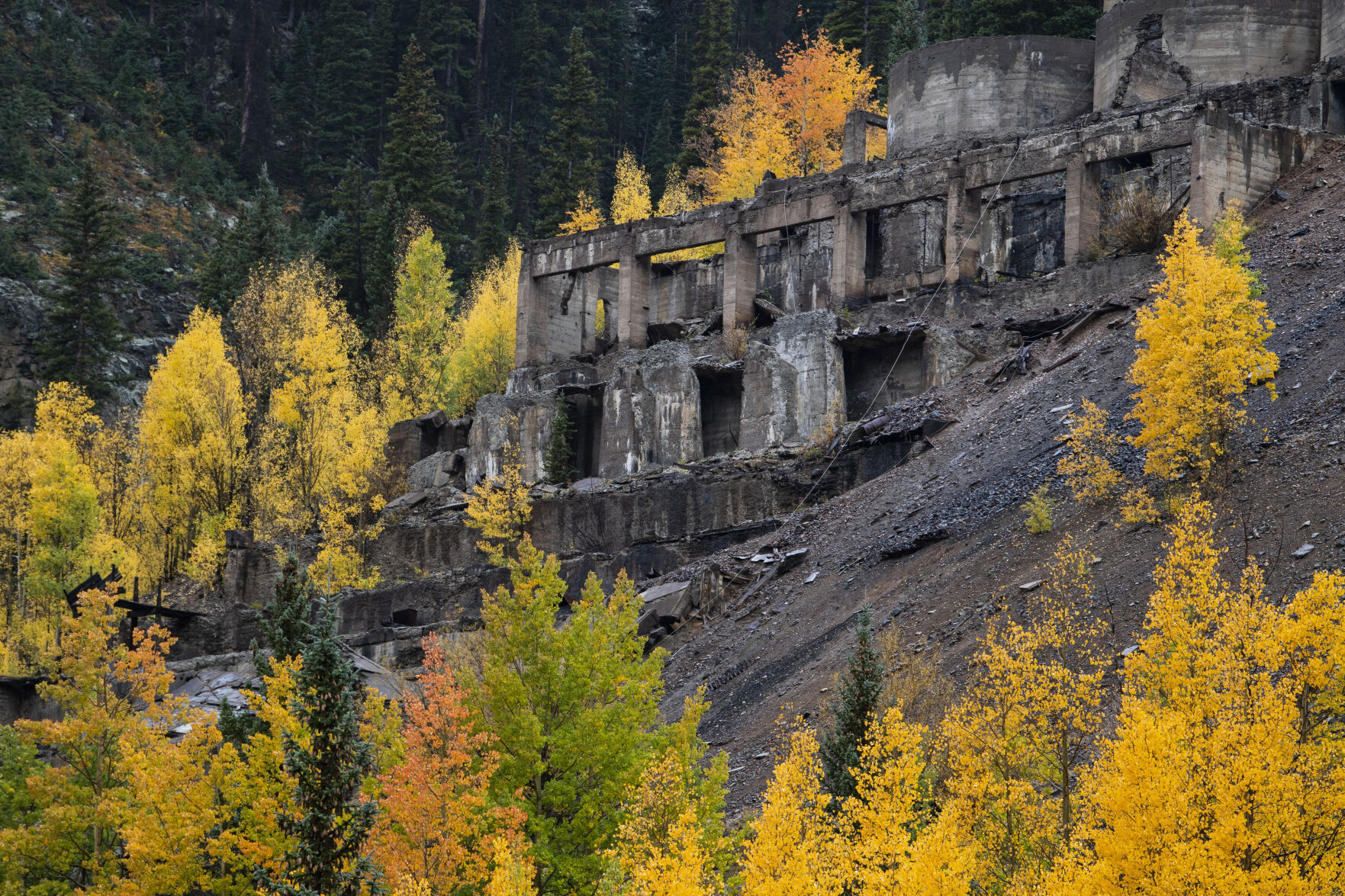 09_29_21 aspens 01499.jpg